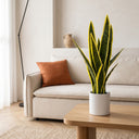 Planta artificial lengua de tigre 45 cm nortene