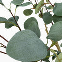 Planta artificial eucaliptus 180 cm nortene
