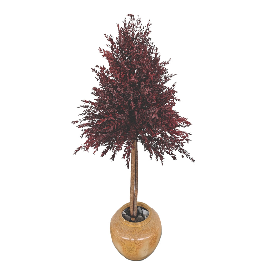 Planta preservada Eucalyptus rojo Nortene