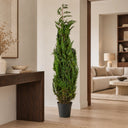 Planta preservada Blue Ice Nortene