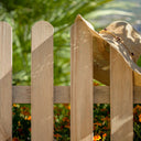CLASSIC FENCE TREATED PINE WOOD 