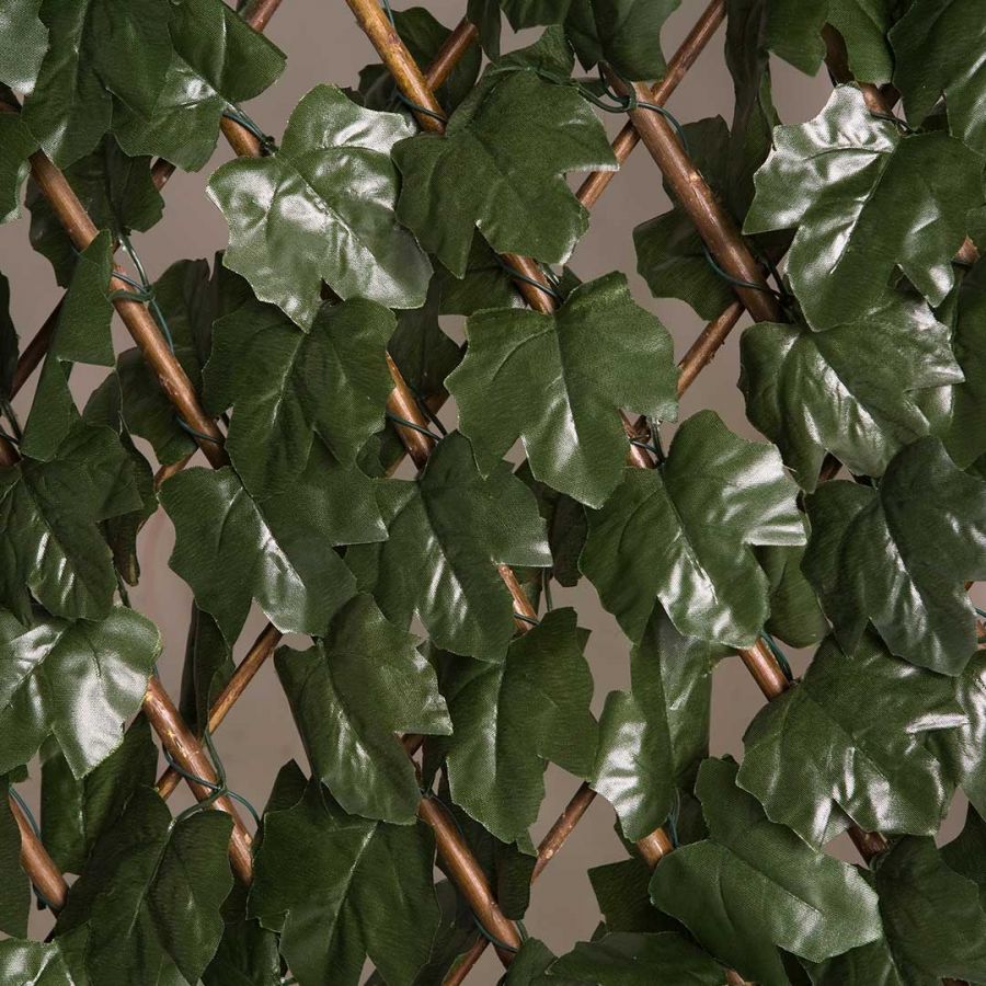 Treliça extensível com folhas básicas
