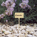Pack 10 etiquetas y rotulador label 13 cm nortene