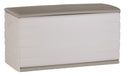 MEDIUM BEIGE TRUNK 120x61x53 CM 