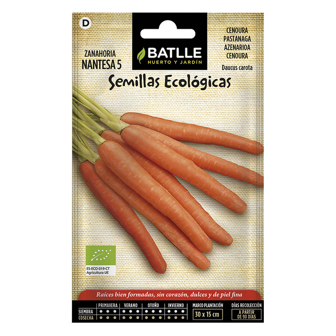 Carota biologica di Nantes