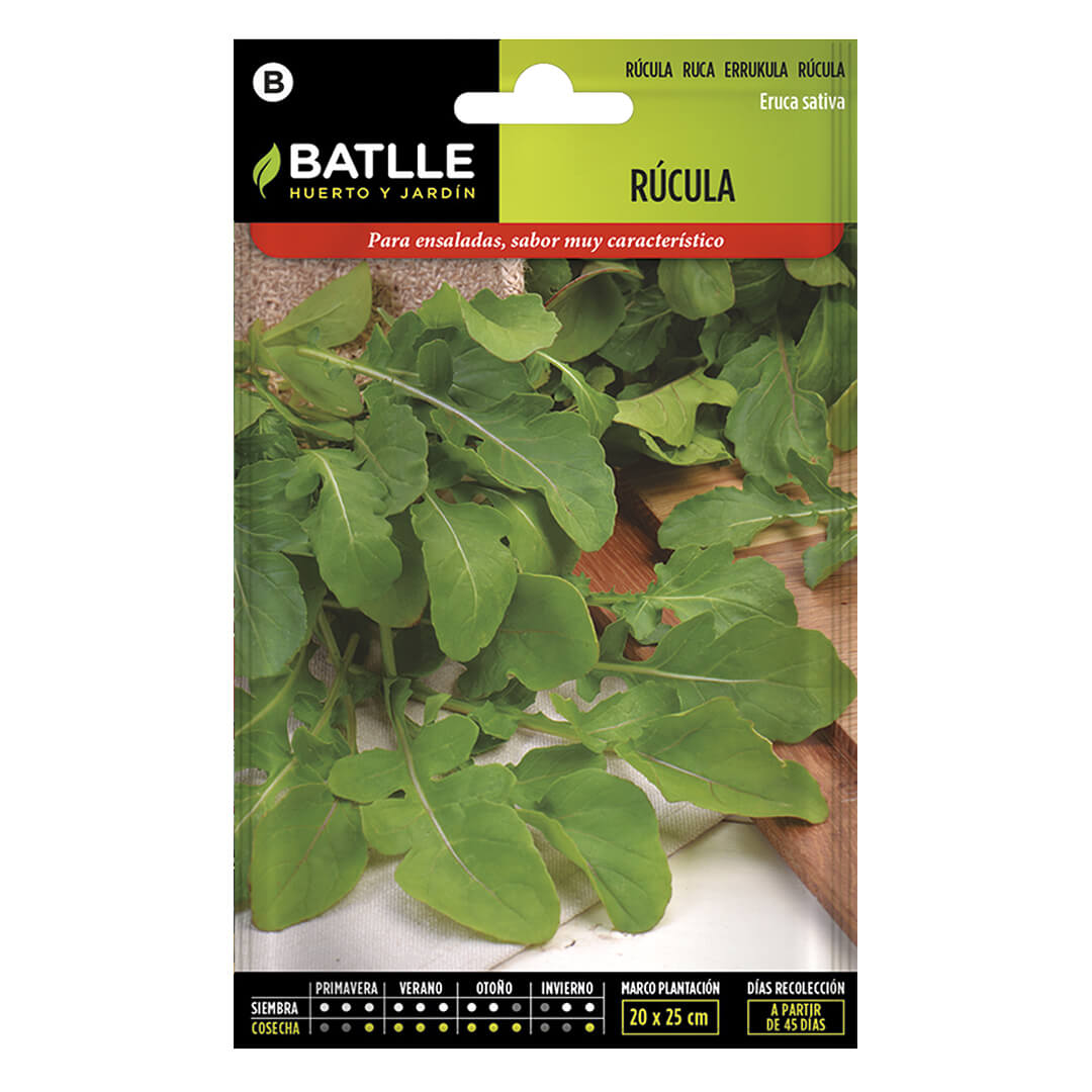 Rucola
