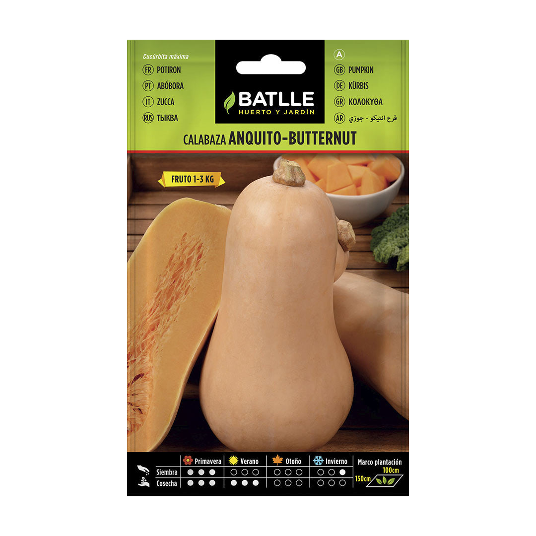Sementes orgânicas de abóbora butternut