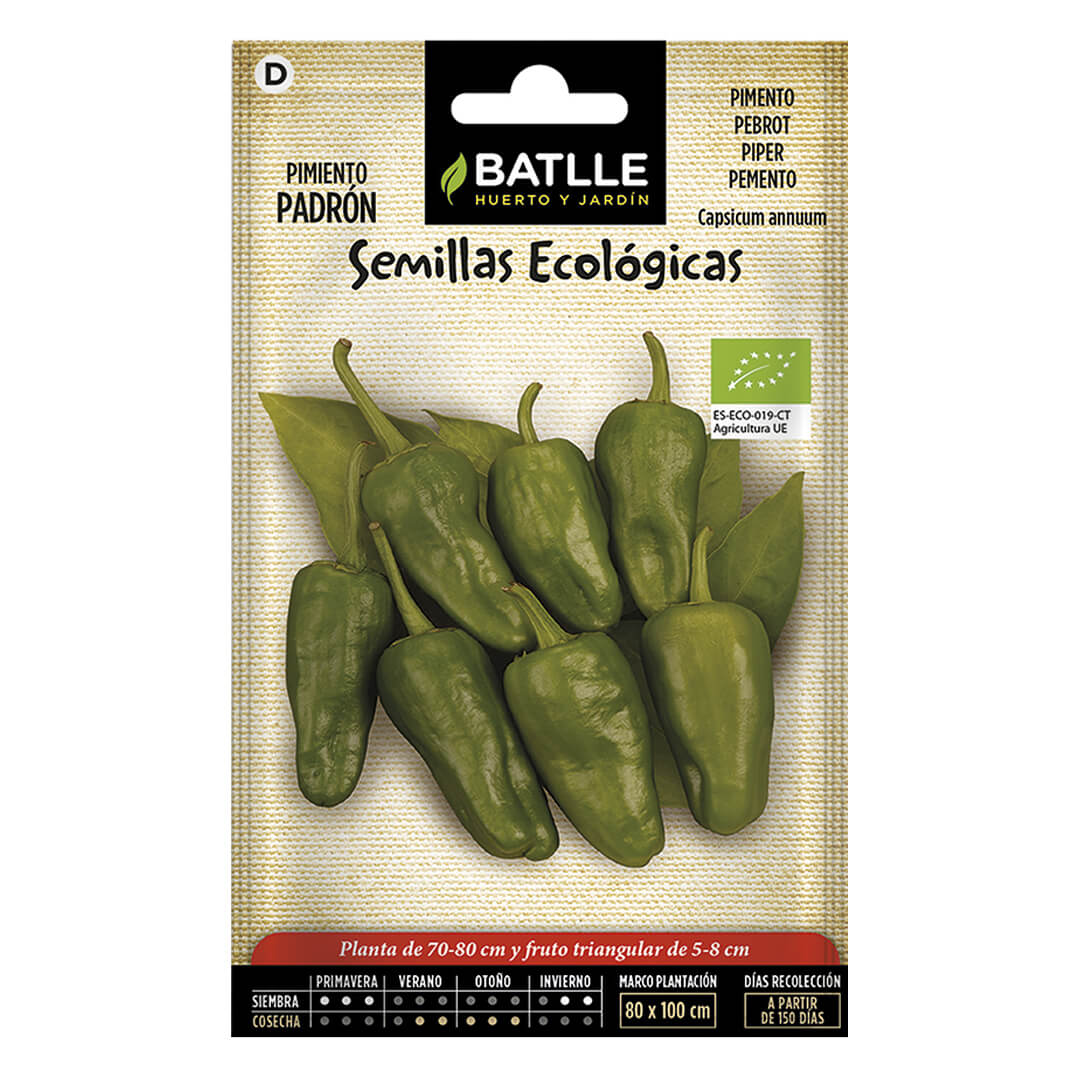 PIMIENTO PADRON  ECO