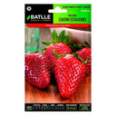 SEMI DI FRAGOLA 4 STAGIONI