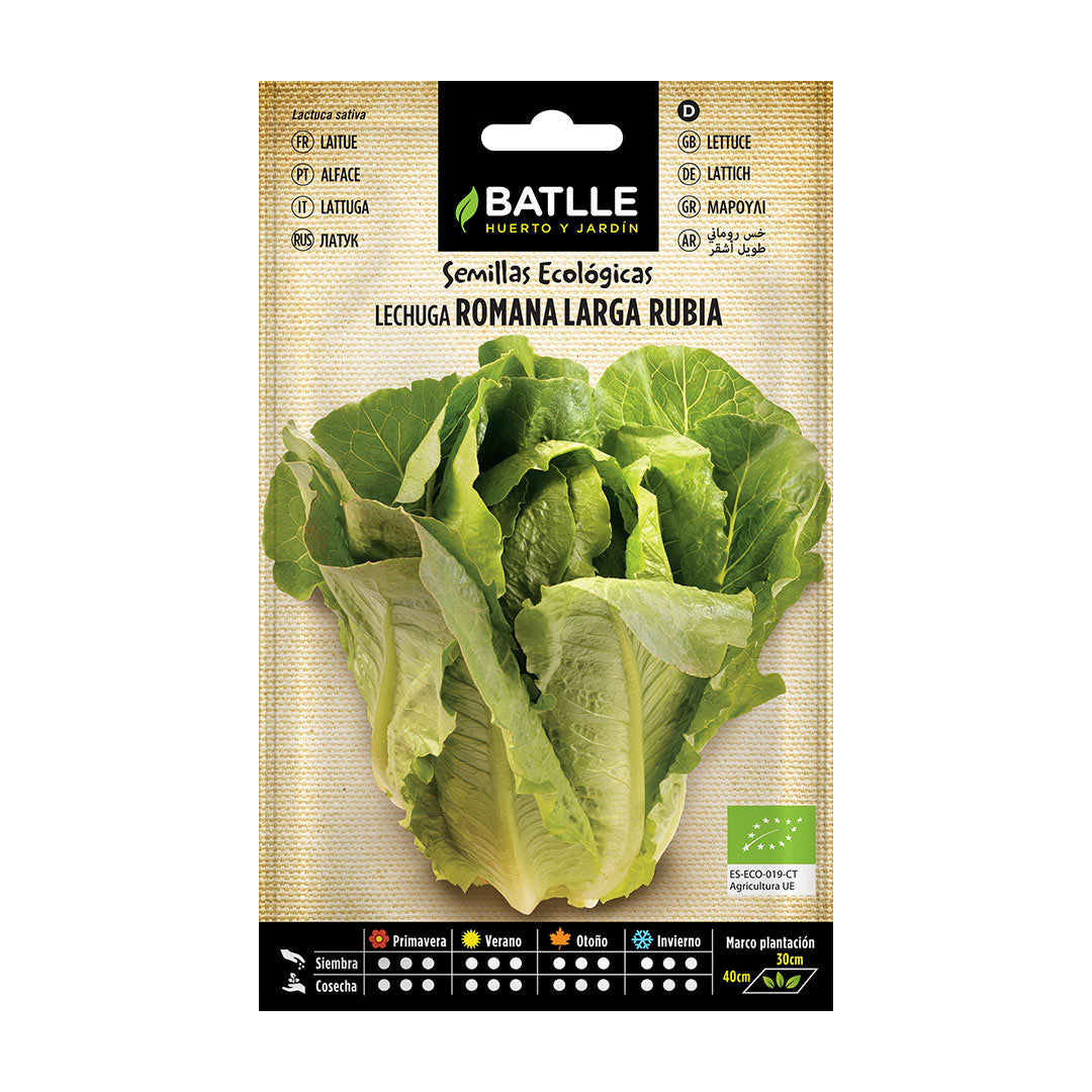 Organic Long Blonde Romaine Lettuce Seeds