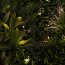 Rouleau de jardin vertical lumineux Sauvage 100 x 100