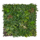 Rouleau de jardin vertical lumineux Sauvage 100 x 100