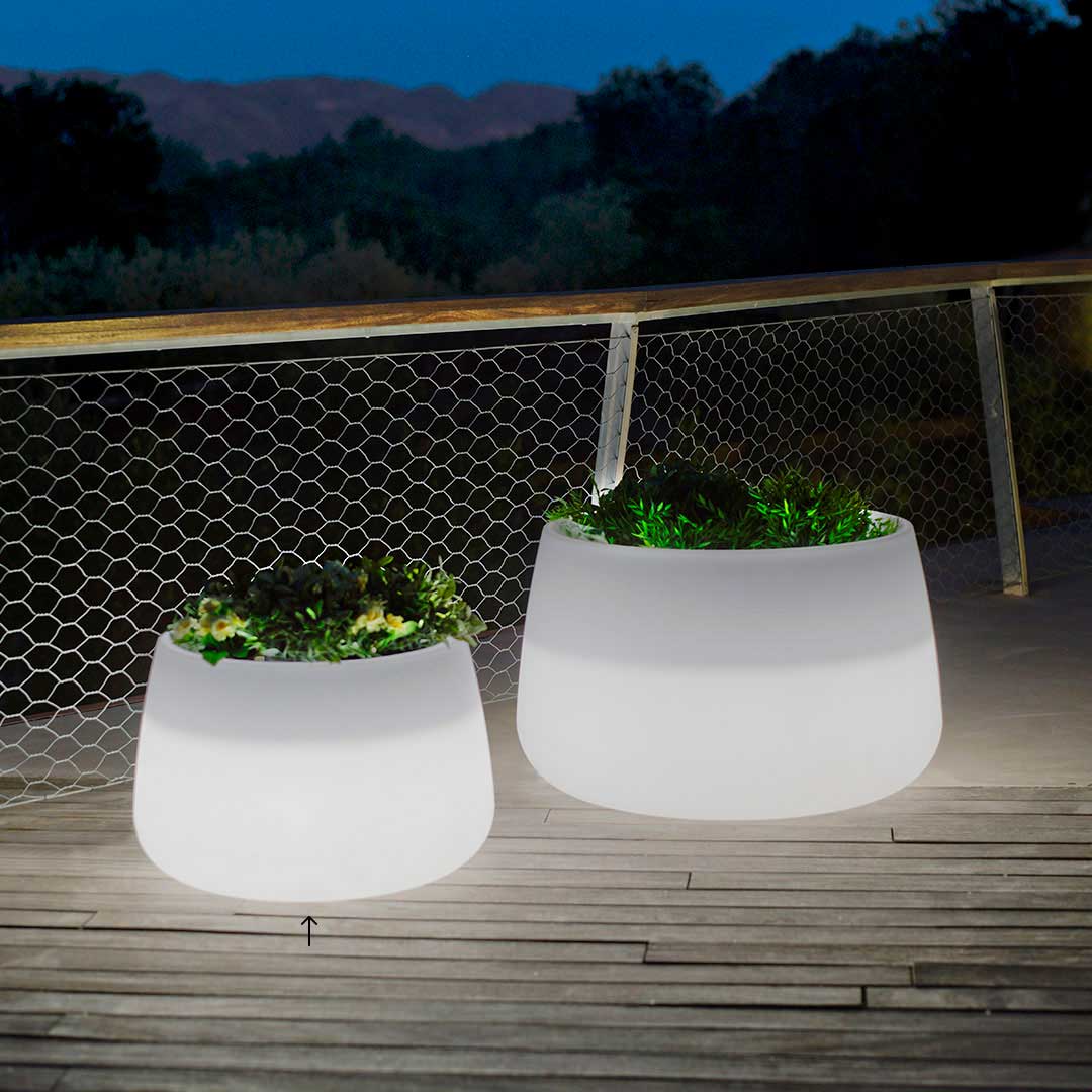 FIORIERA MINIMALISTA CON CAVO LED ILLUMINATA CAMELLIA 60 Ø59X39 CM
