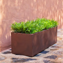 MACETERO RECTANGULAR JARA 60X20 CM