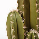 Organe de cactus artificiel 64 cm