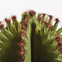 CACTUS ARTIFICIALE EUPHORBIA SUZANNAE 57,5 ​​CM
