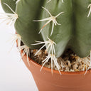 CACTUS ARTIFICIAL STETSONIA CORYNE 64 CM