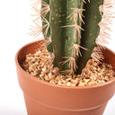 CACTUS ARTIFICIAL STETSONIA CORYNE 43 CM 