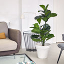 Ficus lyrata artificiel de 120 cm, aspect réaliste, décoration naturelle pour l'intérieur et l'extérieur
