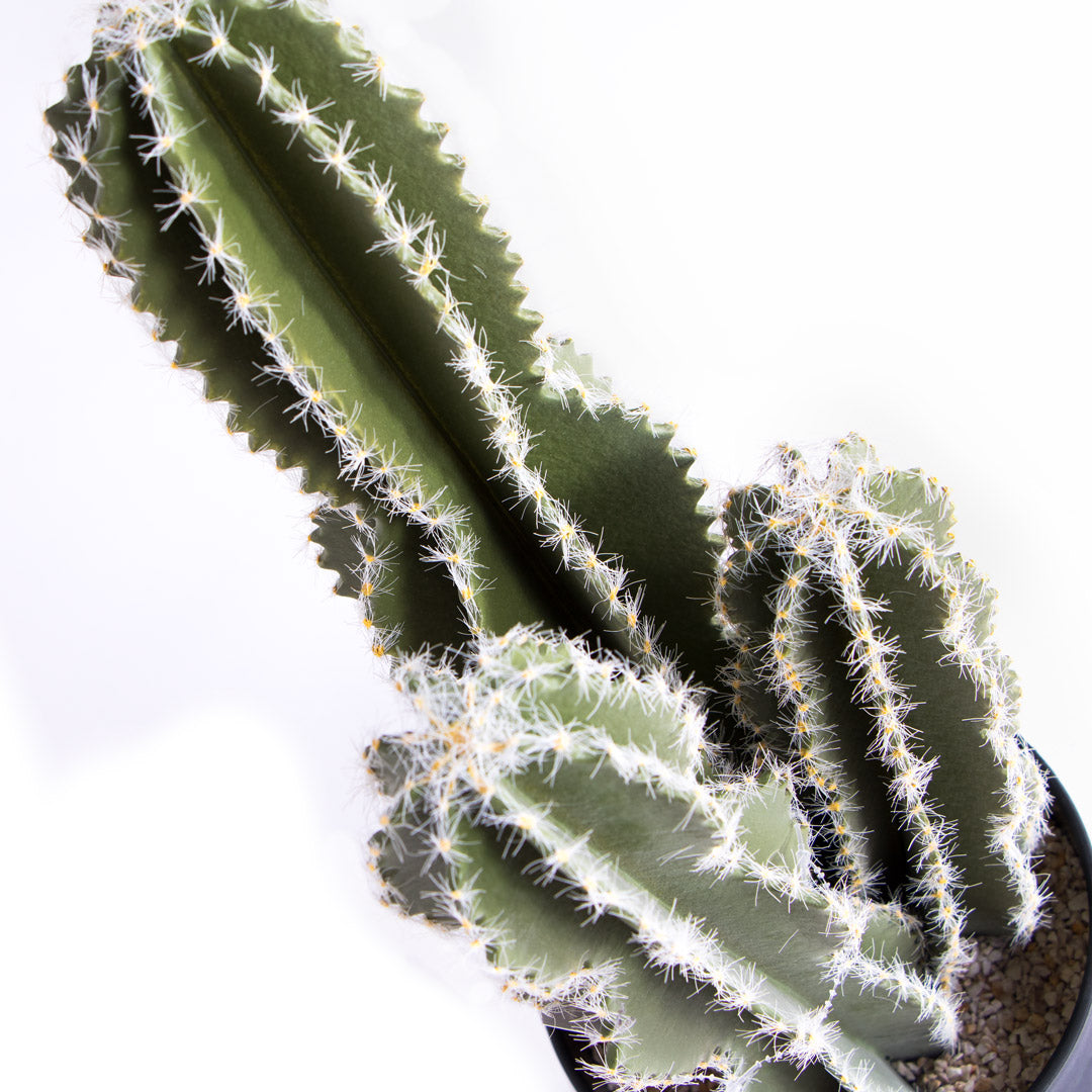 CACTUS CASTILLO DE HADAS 62 CM
