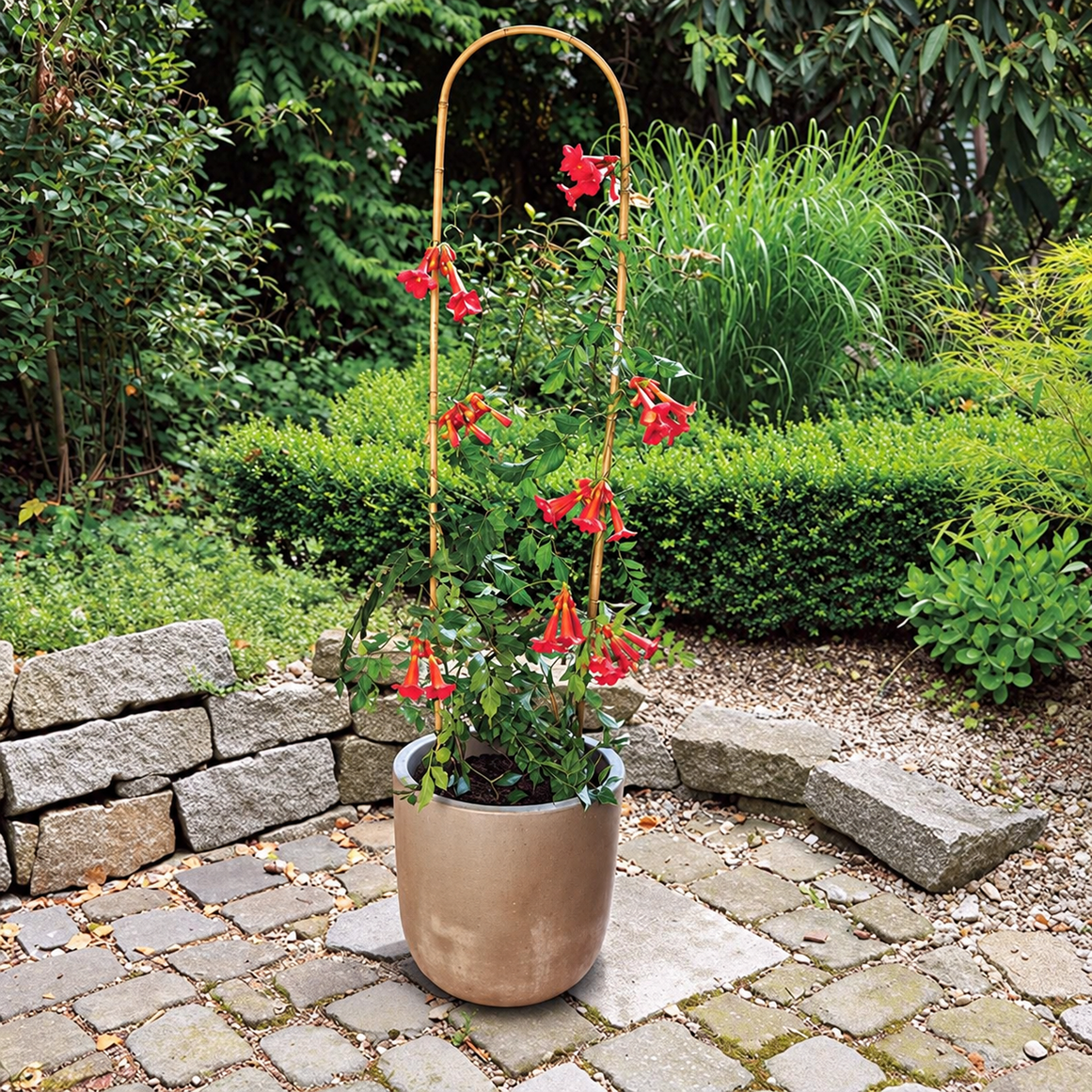 Arco tutor bambu nortene