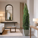 Albero conservato Stardust 160-180 cm