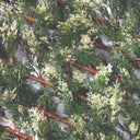 Celosia extensible trelliwillow cipres 1x1,5 m nortene