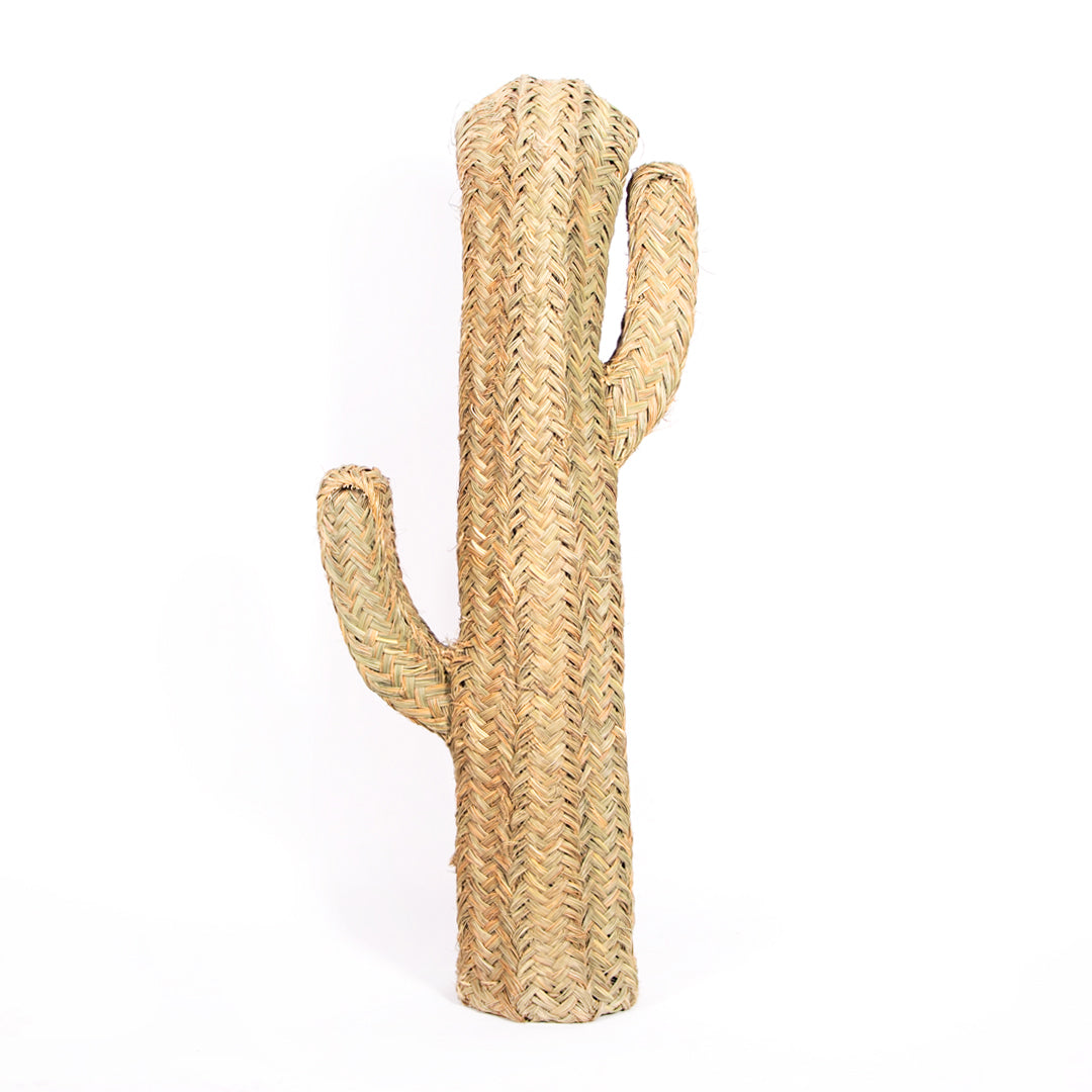 Esparto Cactus Maro 80 cm D&L